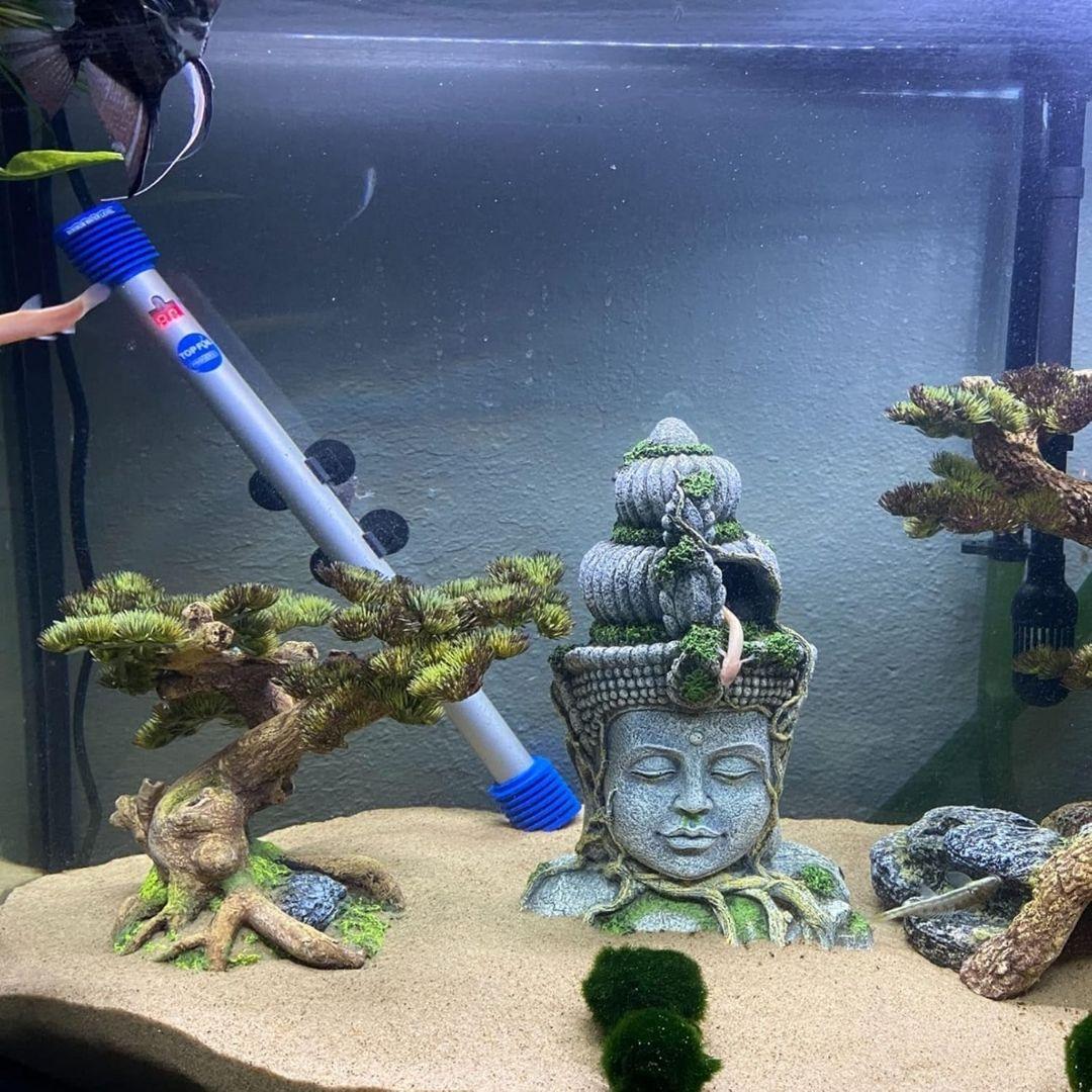 fish tank accessories buy online india Seahaven Fish Shelter Aquarium Ornament Resin