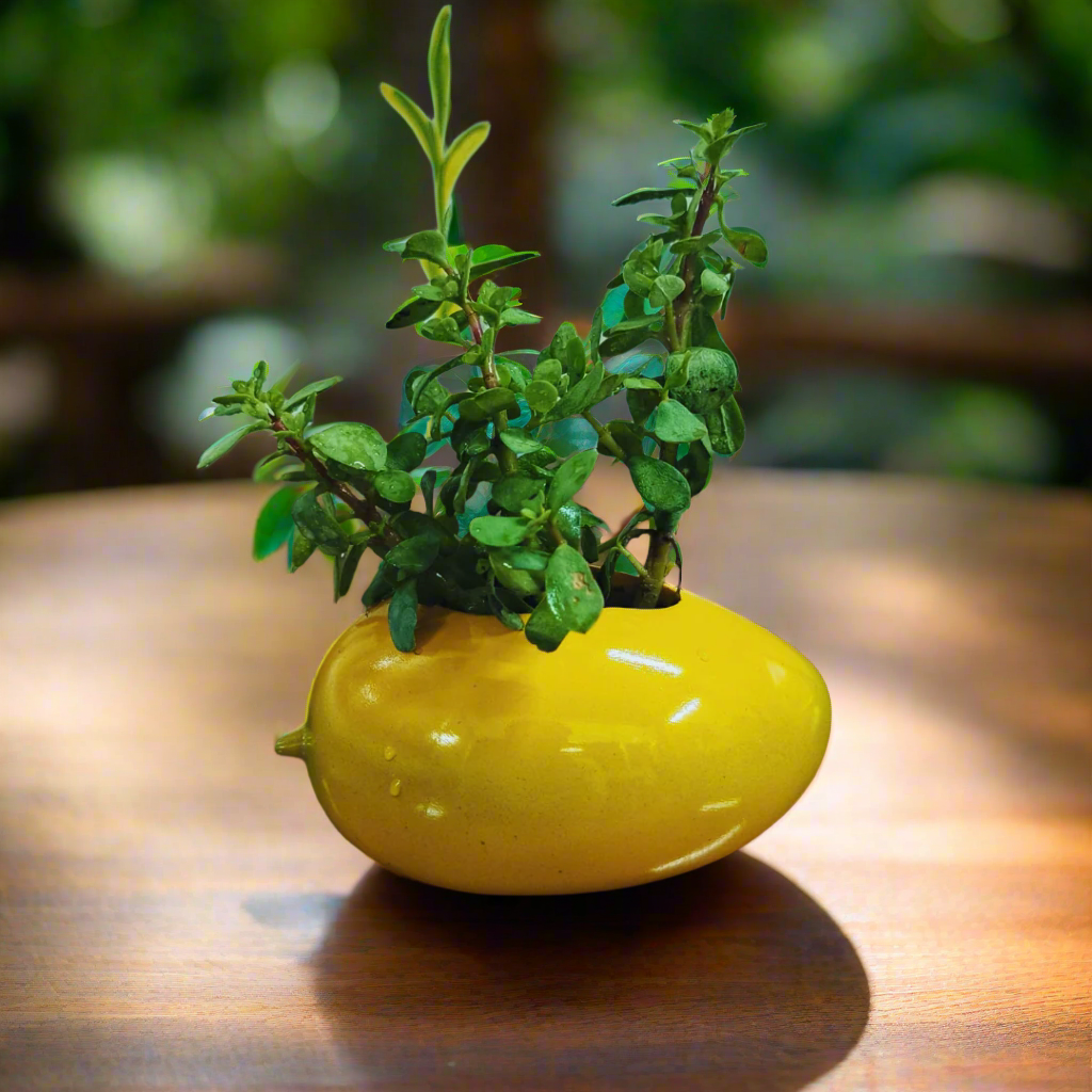 Yellow vase with a plant on a wooden surface