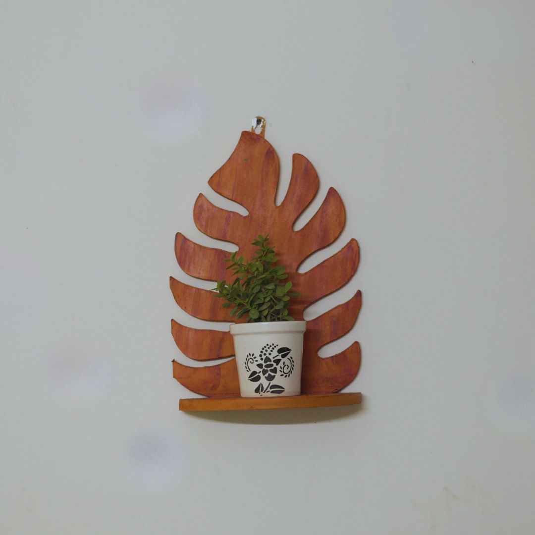 Wall Hanging Shelf