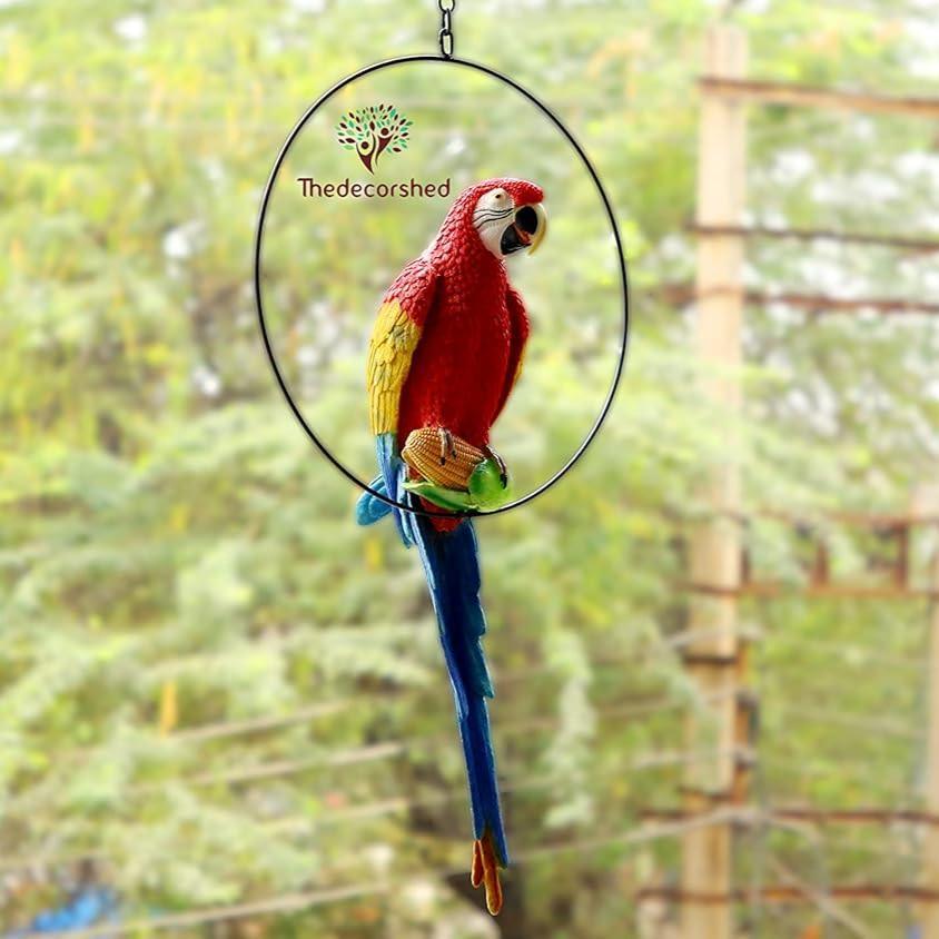 Big Ring Parrot For Garden Decor - The Decorshed