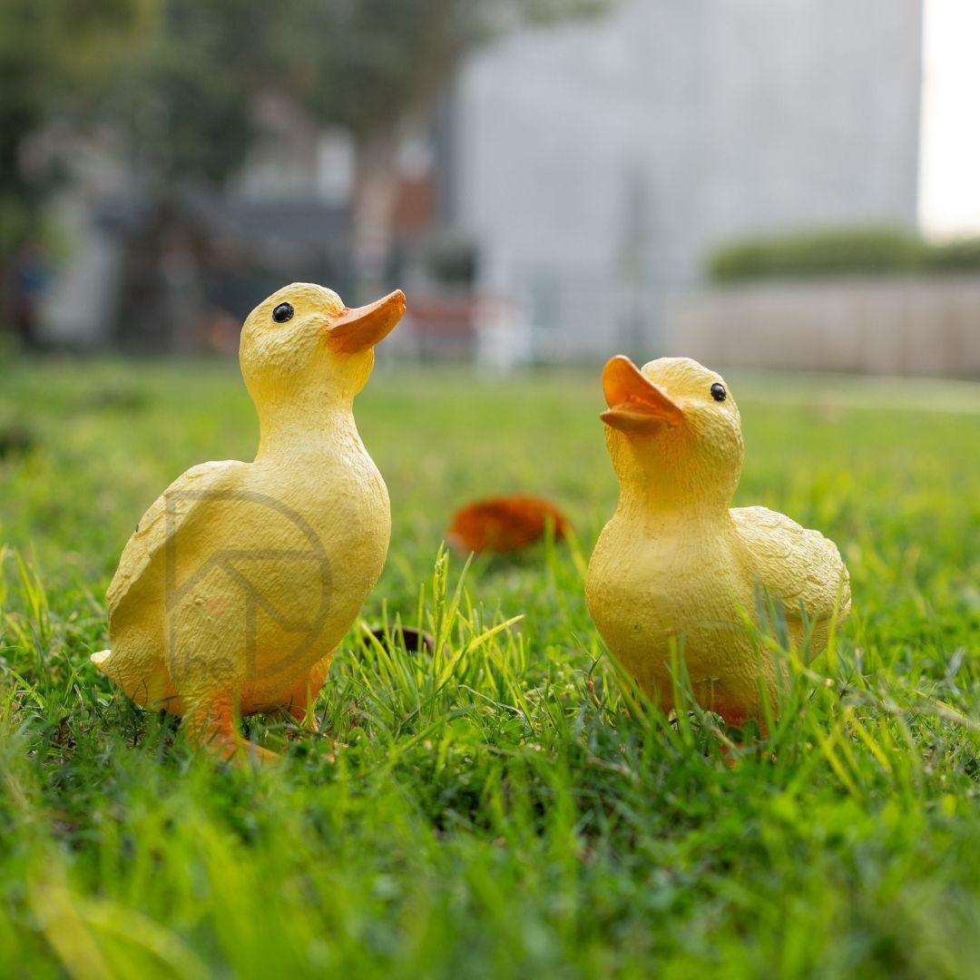 Cute Duck Family - The Decorshed
