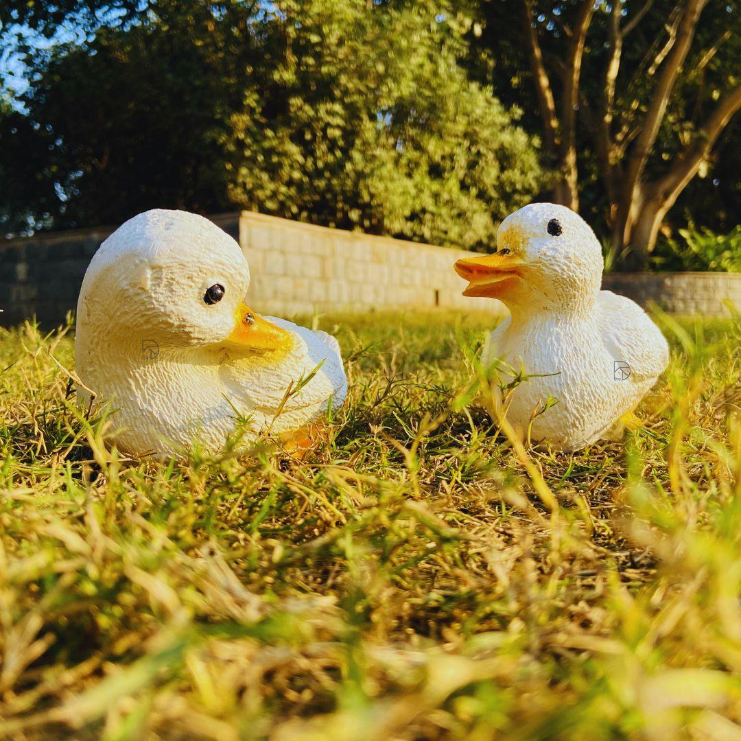 Cute Duck Family - The Decorshed