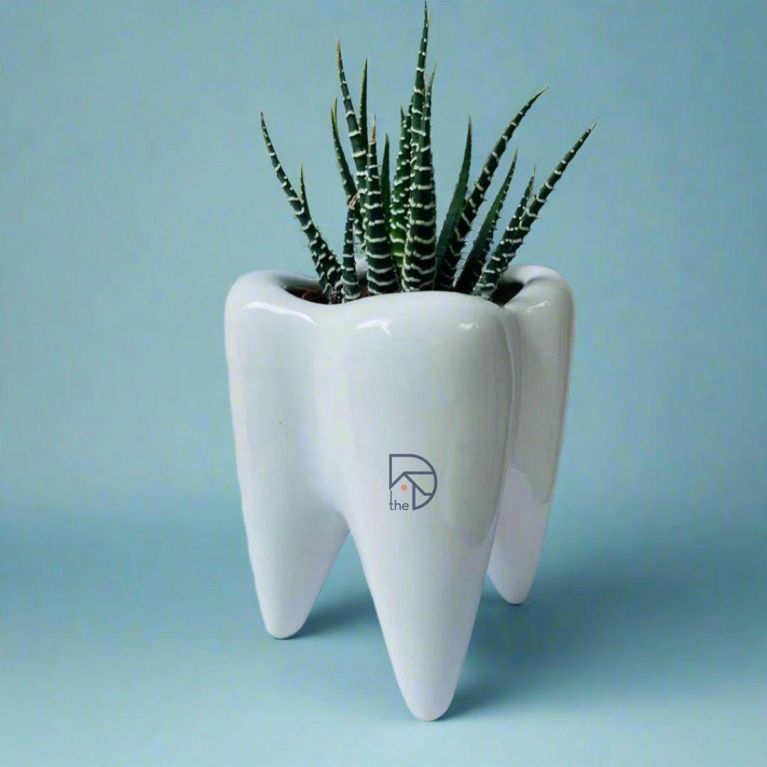 tooth succulent Cute Tooth Shaped Succulent Planter – The Decorshed