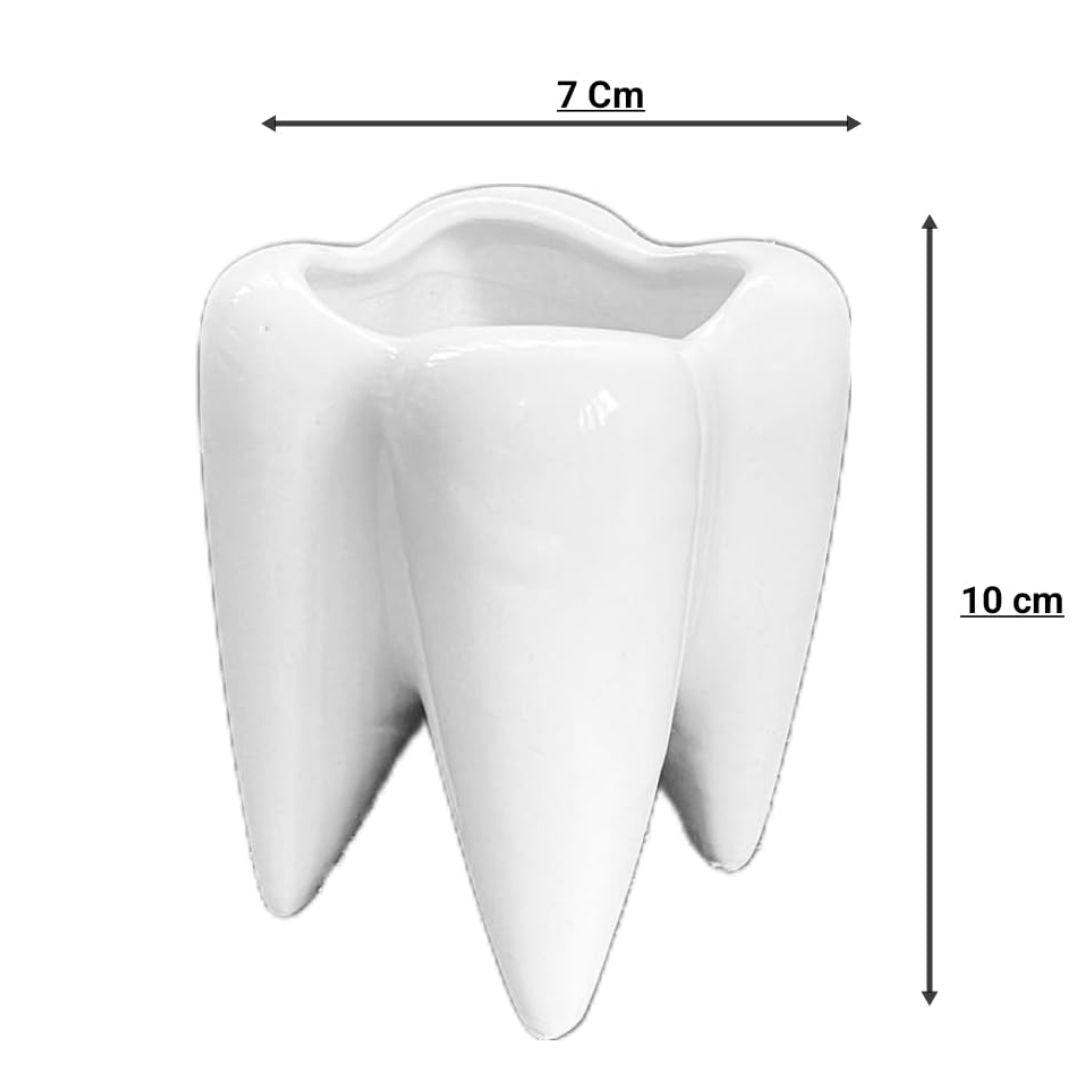 Cute Tooth Shaped Succulent Planter - The Decorshed
