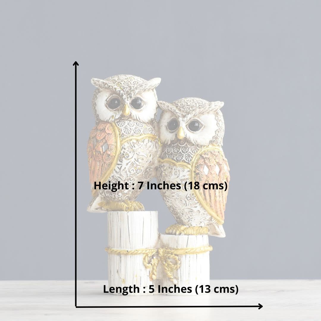 Owl Showpiece for Home Decor