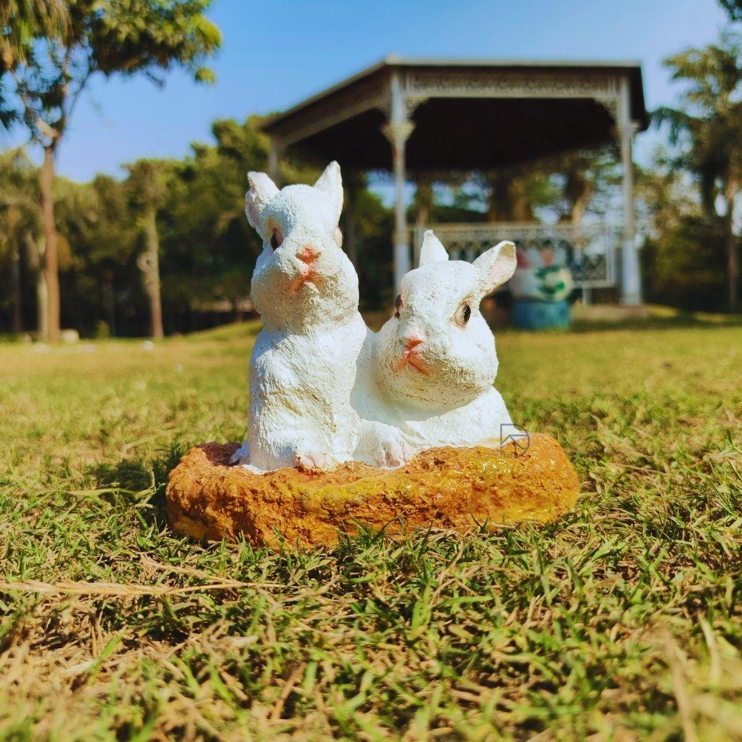Rabbit from Hole for garden decor - The Decorshed