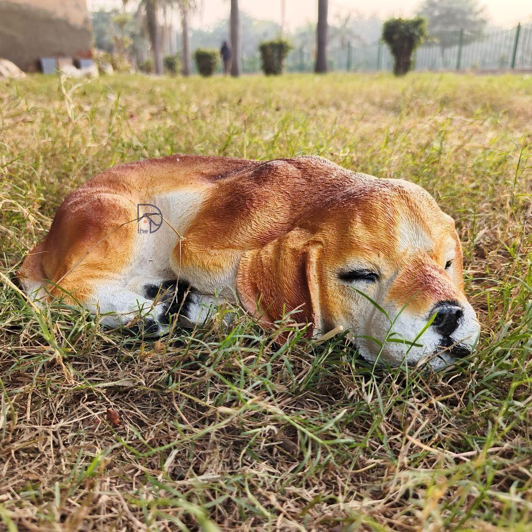 Sleeping Beagle Dog - The Decorshed