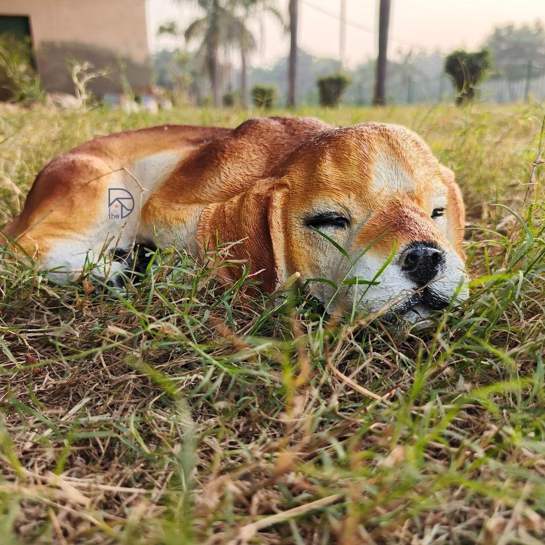 Sleeping Beagle Dog - The Decorshed