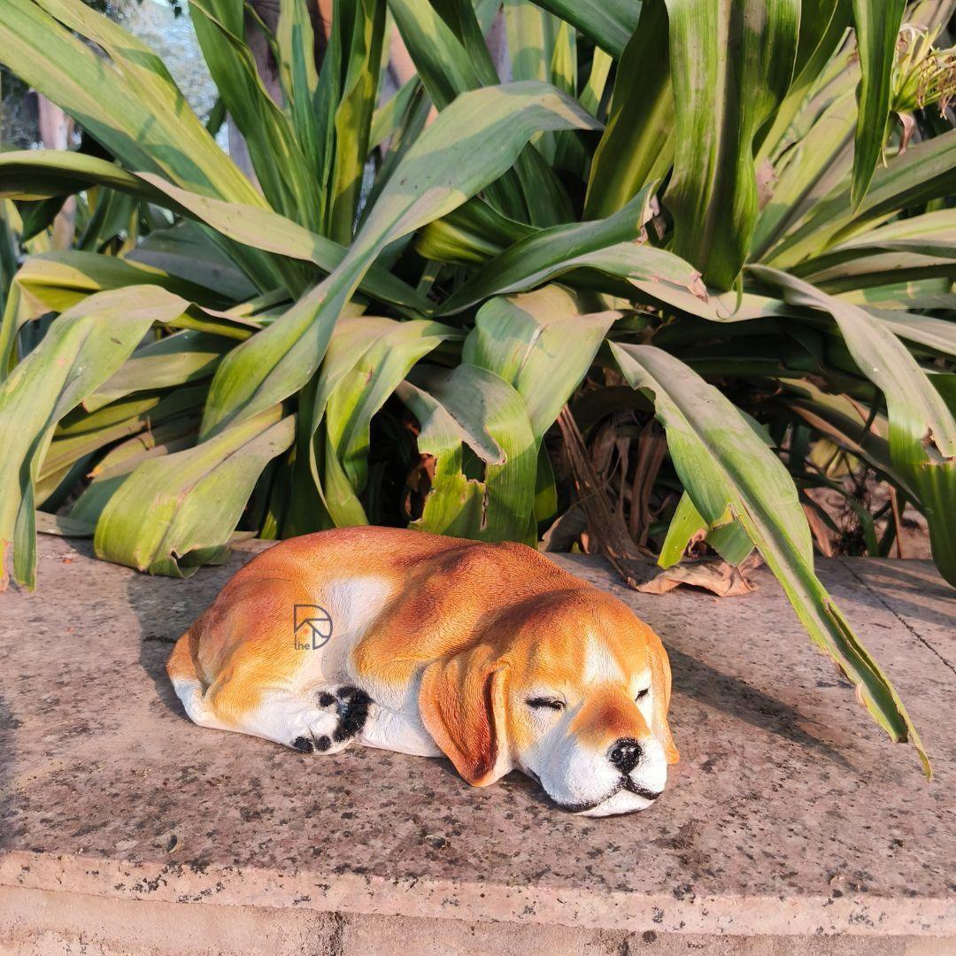Sleeping Beagle Dog - The Decorshed