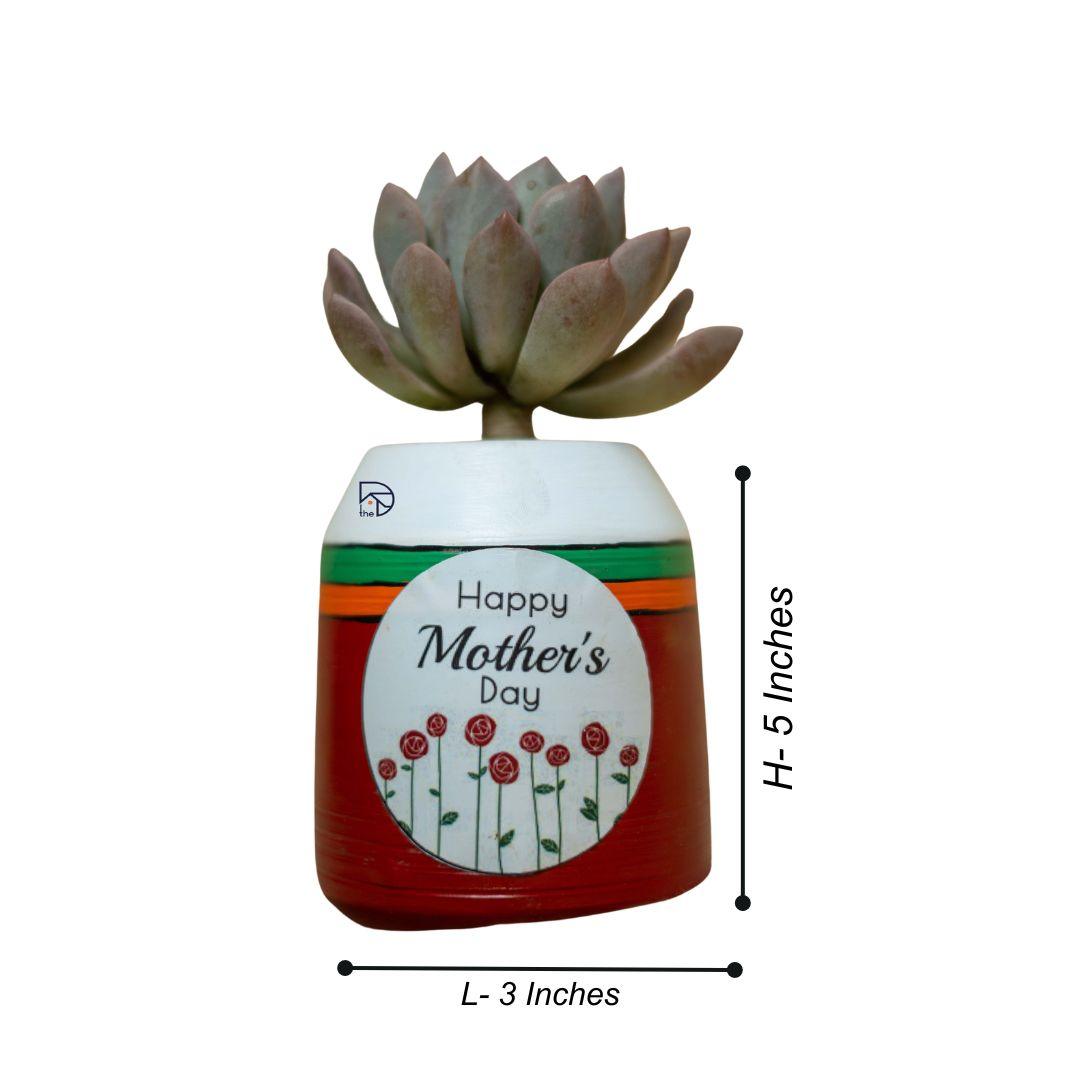 Terracotta Pot for Garden Decor - The Decorshed