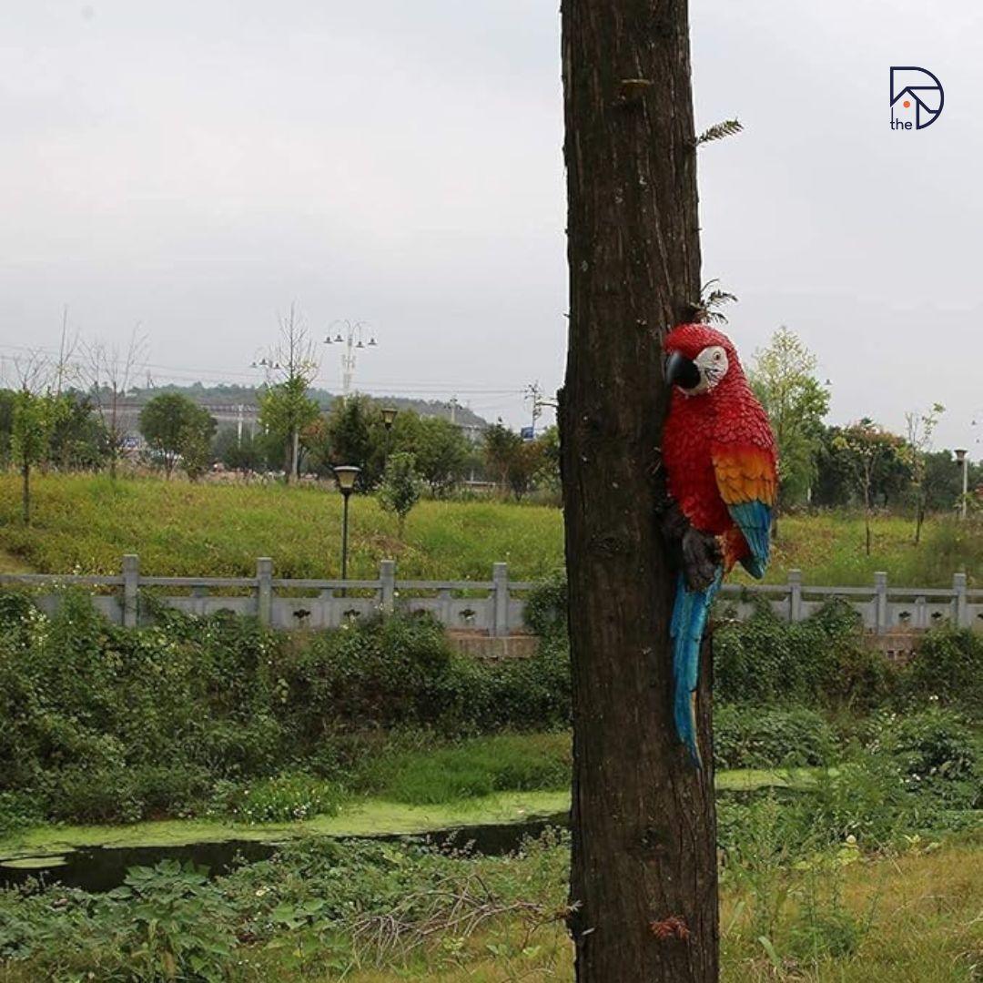 Wall Parrot for Garden Decor - The Decorshed