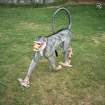 The Decorshed langoor statue for Terrace garden, Colobines, Big Monkey Statues