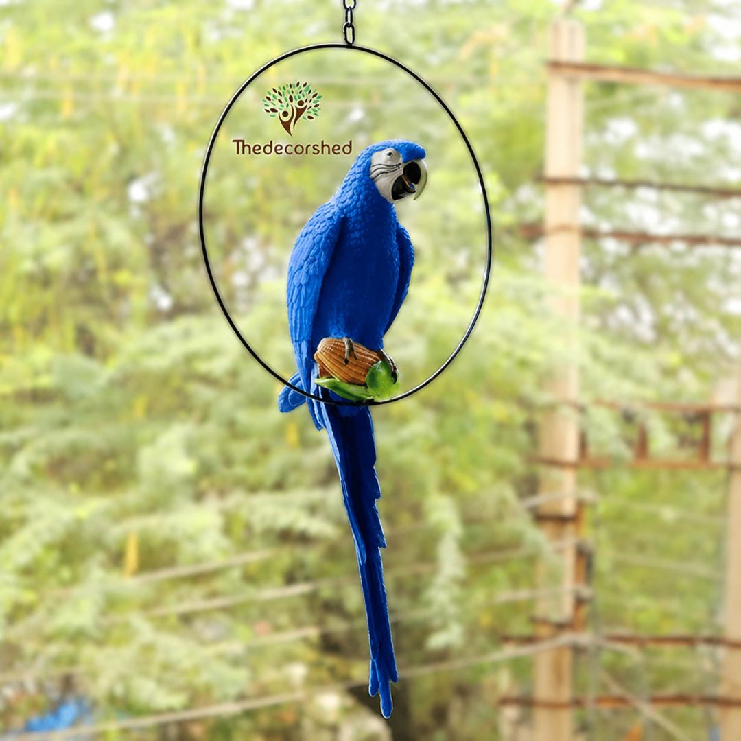 Big Ring Parrot For Garden Decor