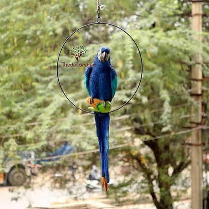 Big Ring Parrot For Garden Decor