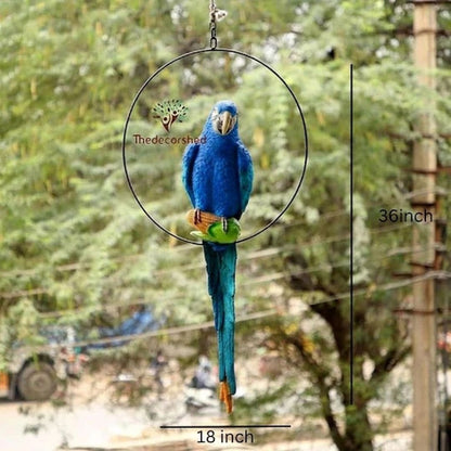 Big Ring Parrot For Garden Decor