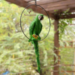 Big Ring Parrot For Garden Decor