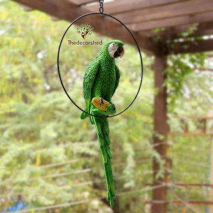 Big Ring Parrot For Garden Decor