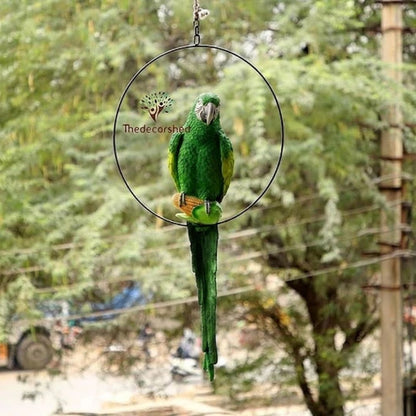 Big Ring Parrot For Garden Decor