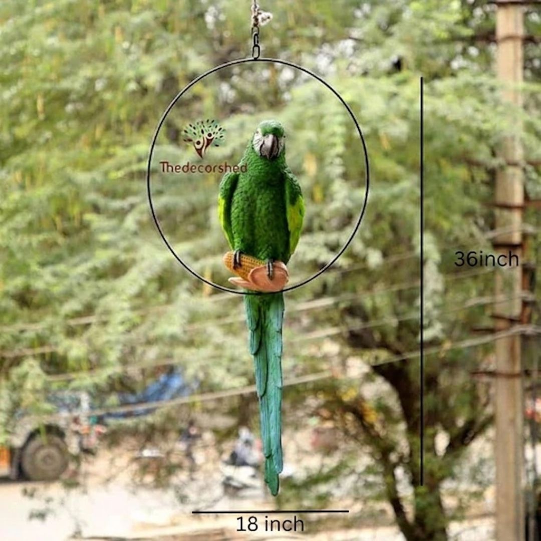 Big Ring Parrot For Garden Decor