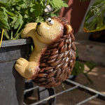 Close-up of hedgehog pot hanger face — white and black eyes, rounded ears, sandy yellow muzzle