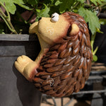 Hanging hedgehog figurine on dark garden pot — full body view showing two-tone cream and brown finish
