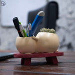 Smiley Duo Planter for Home Decor Gift Garden Decor