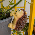 Orange-brown hedgehog pot hanger on dark plastic planter — climbing hedgehog garden ornament with green foliage