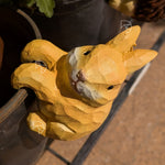 Hanging Cat Pot Hanger | Resin Climbing Cat Figurine | Pack of 2