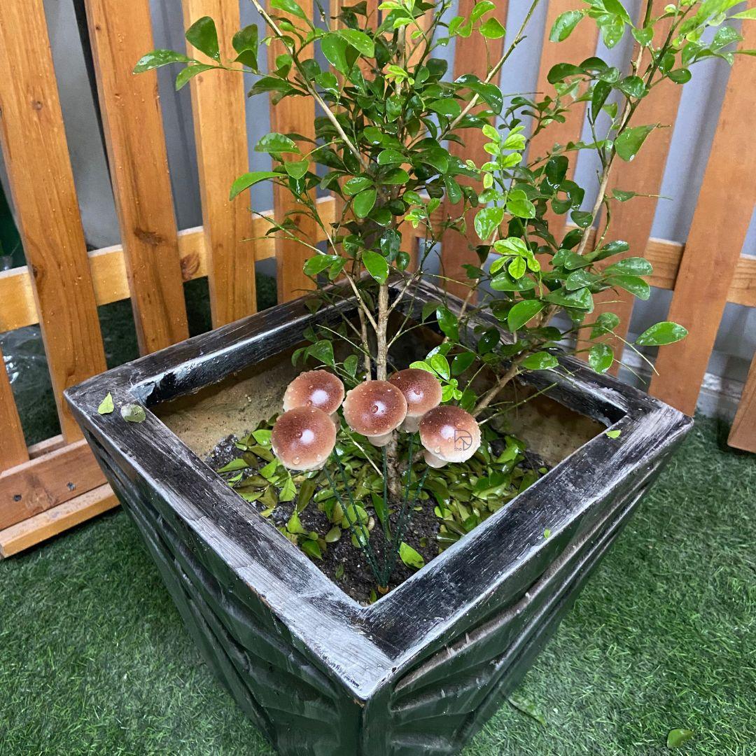 Big Mushroom Garden Stakes - The Decorshed