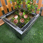 Big Mushroom Garden Stakes - The Decorshed
