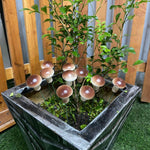 Big Mushroom Garden Stakes - The Decorshed