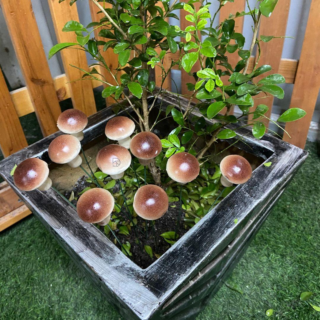 Big Mushroom Garden Stakes - The Decorshed