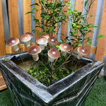 Big Mushroom Garden Stakes - The Decorshed