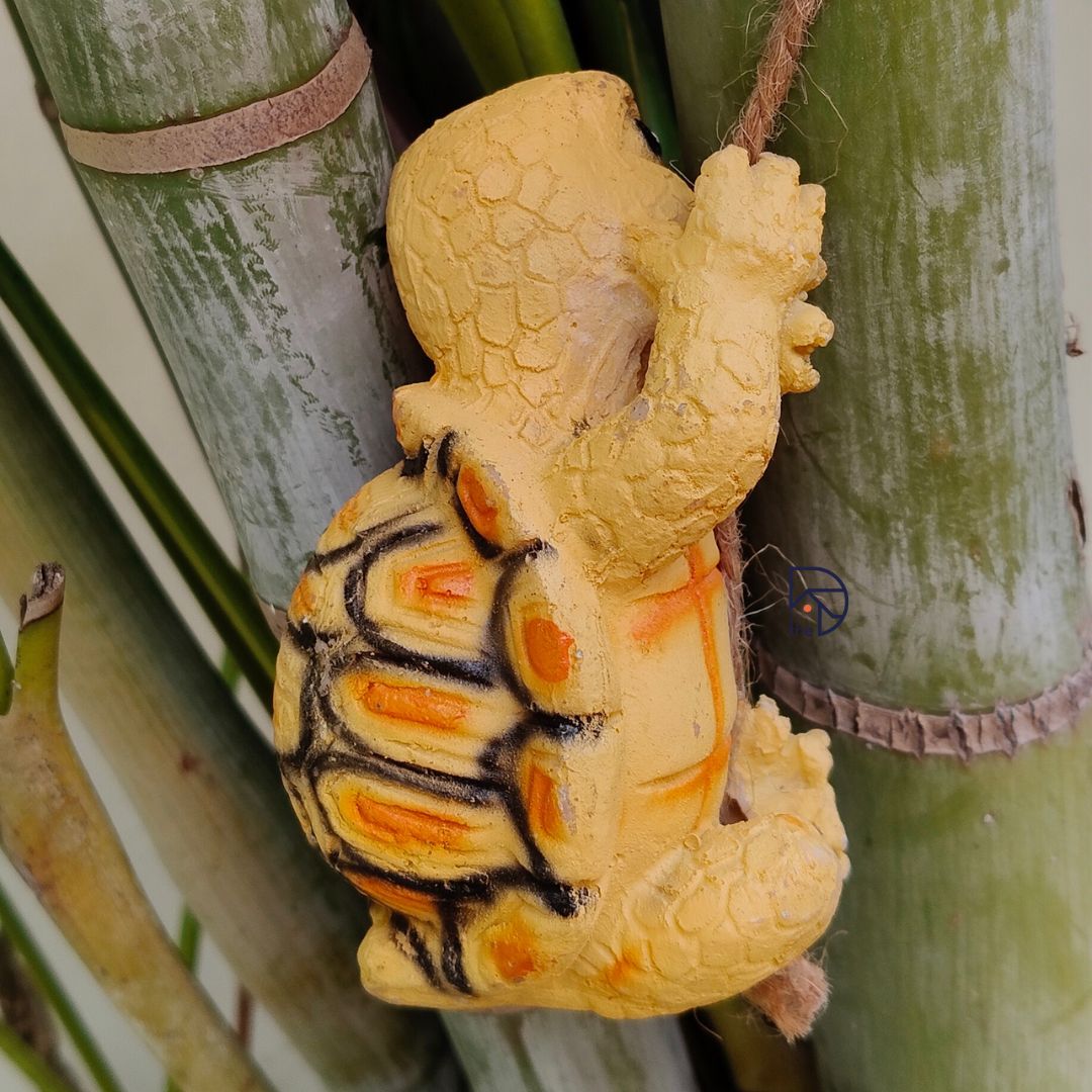 Playful Turtle On String