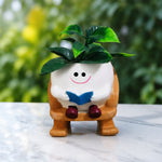 A small decorative plant pot shaped like a white smiling character sitting on a brown rocking chair, with green leaves on top and a blue book in its hands, placed on a light marble surface with a blurred green garden background.