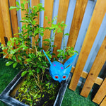Owl Garden Stakes - The Decorshed