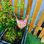 Owl Garden Stakes - The Decorshed