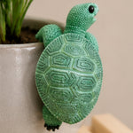 Turtle Hook for Garden (Pack Of 2)