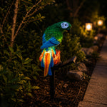 Solar Parrot Garden Light for Outdoor Decor & Pathway Lighting