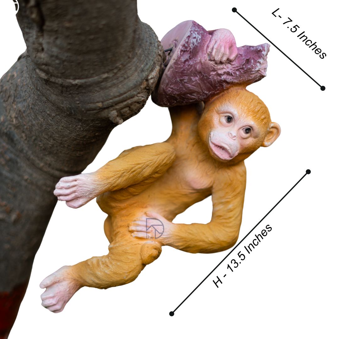 Hanging Monkey