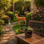 Garden Makeover Set | Statement Garden Decor Combo
