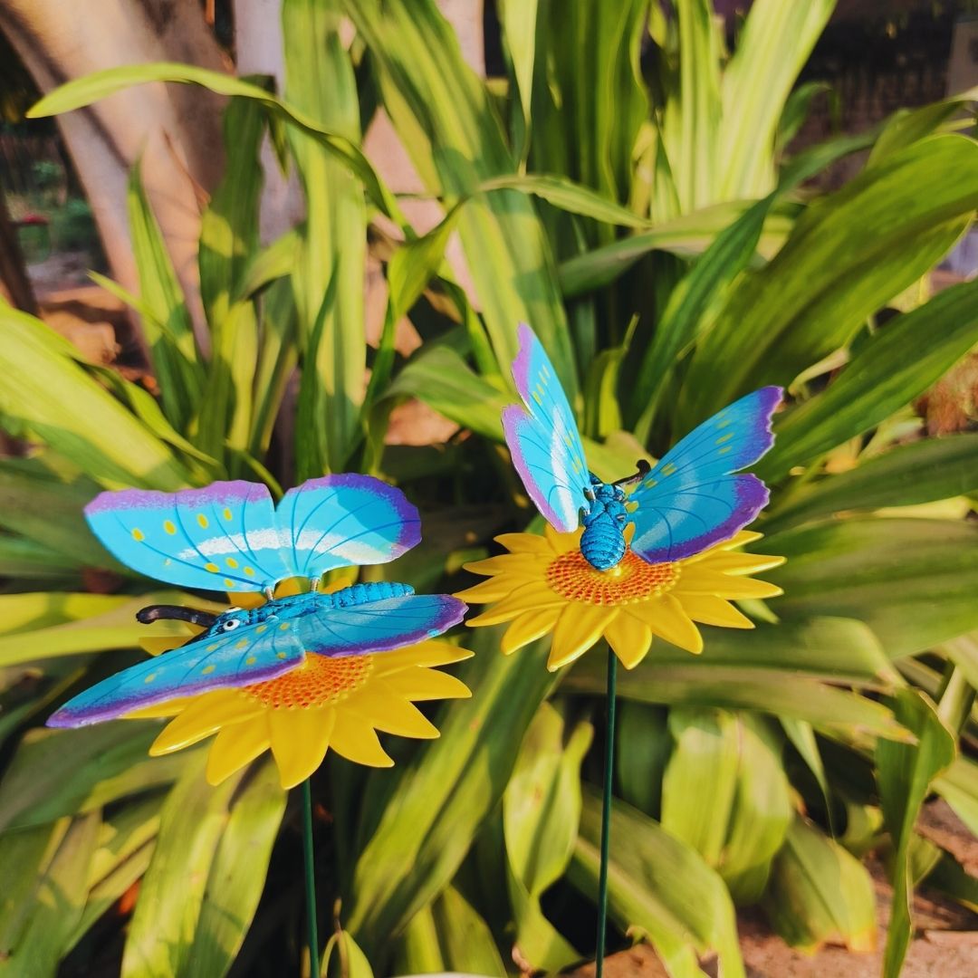 Butterfly Garden Stakes ( pack of 2)