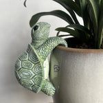 Turtle Hook for Garden - The Decorshed