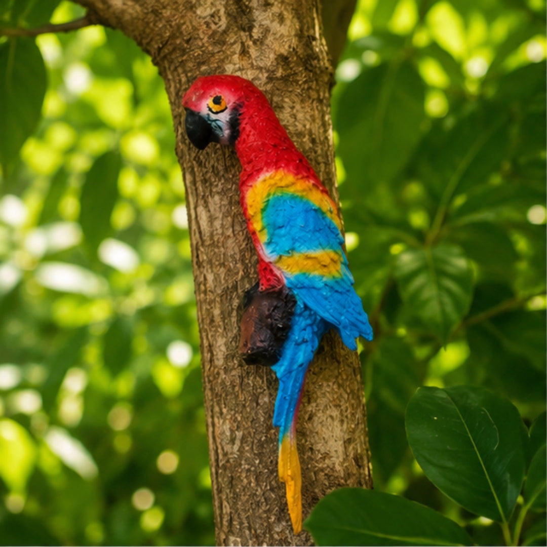 Wall Parrot for Garden Decor