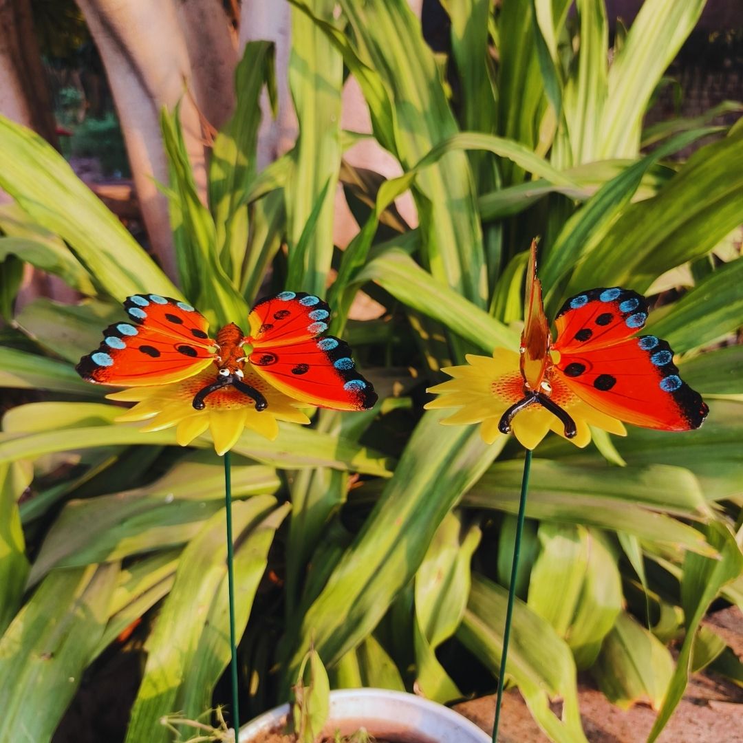 Butterfly Garden Stakes ( pack of 2)