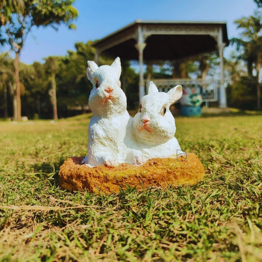 Rabbit from Hole for garden decor