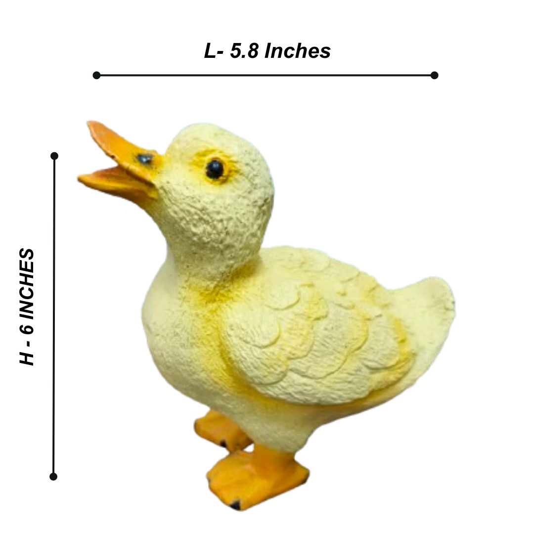 Cute Duck Family (Set of 4)