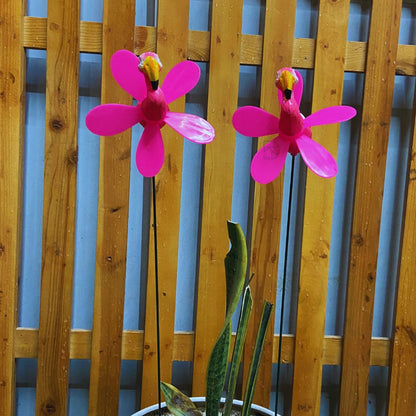 Garden Grace Flamingos Stakes (Pack of 2)