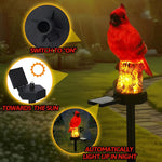 Solar Red Cardinal Bird Garden Stake Lights – 2 Pack Outdoor Decor