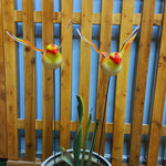 Sunny Skies Bird Stakes (Pack of 2)